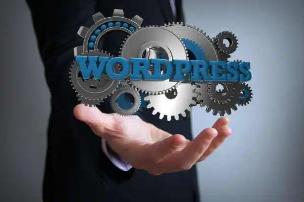 Chatbot WhatsApp WordPress