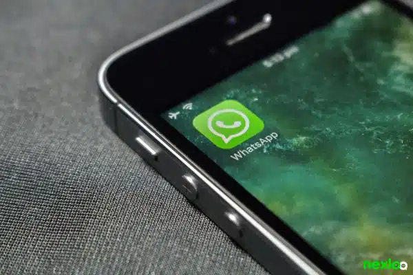 Estudo de caso sobre disparadores de WhatsApp