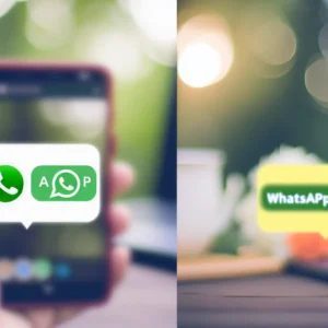 WhatsApp Oficial API x WhatsApp Web: Quais as Diferenças e Vantagens